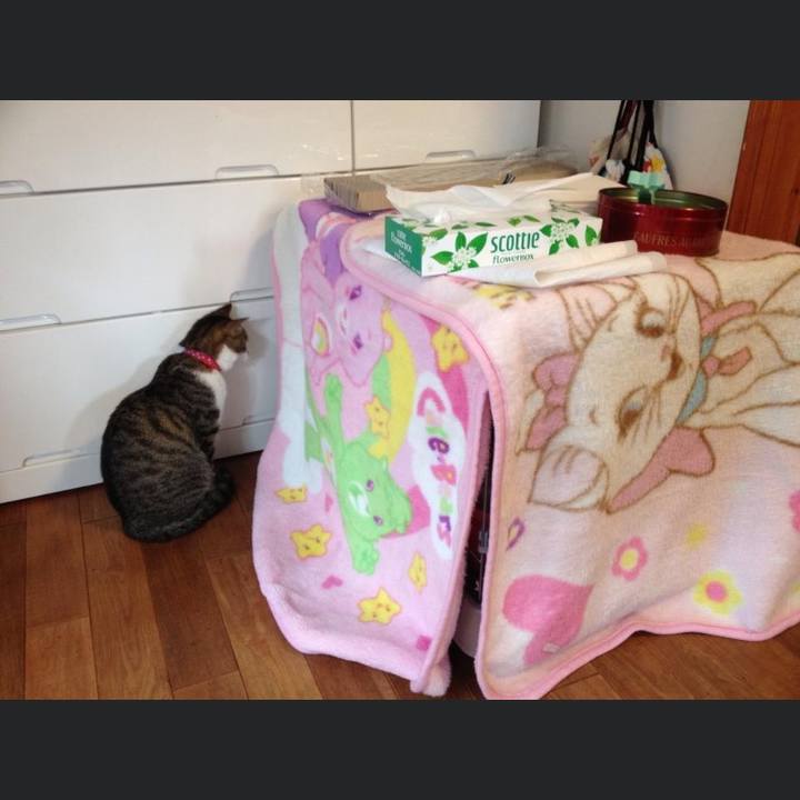 A9da9c55 7beb 4112 96dc c46baf916df5 1643455582915