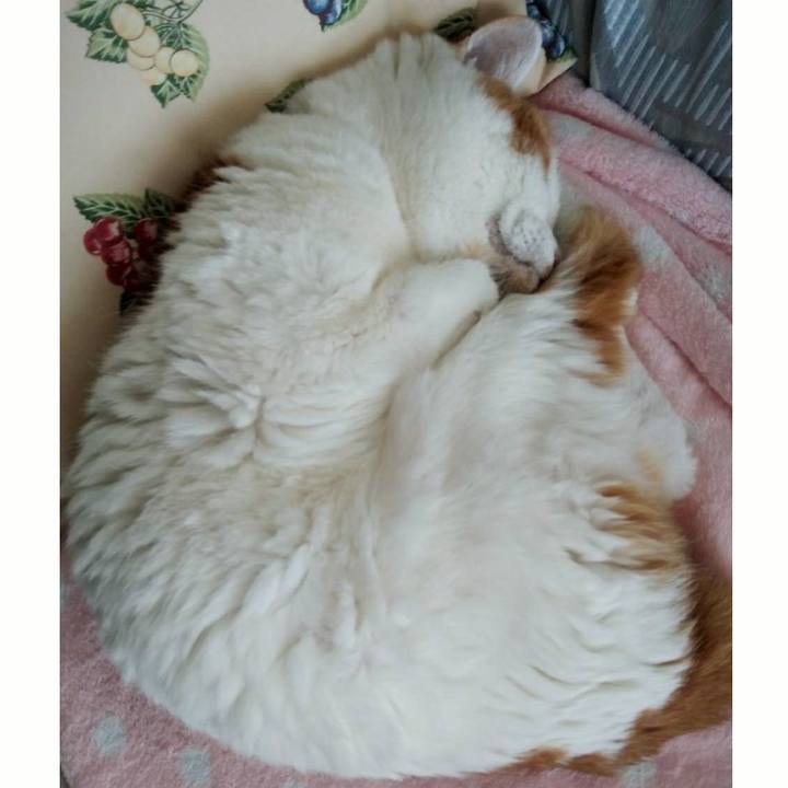 A9dad214 5bb8 4fa4 9d47 91f311afc68e 1549774913635