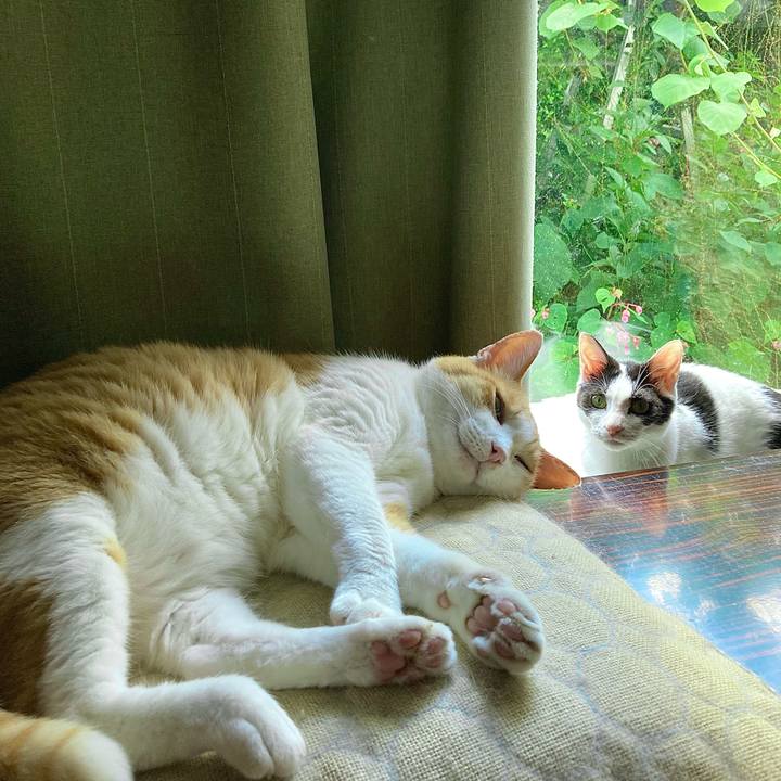 A9db2ed9 3e9a 4c74 b49a cc17e23b9776 1661141751328