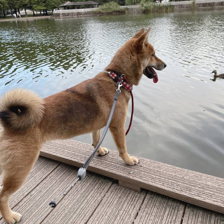 A9db5354 94d9 40fc beda 88928badfd6b 1667708835691