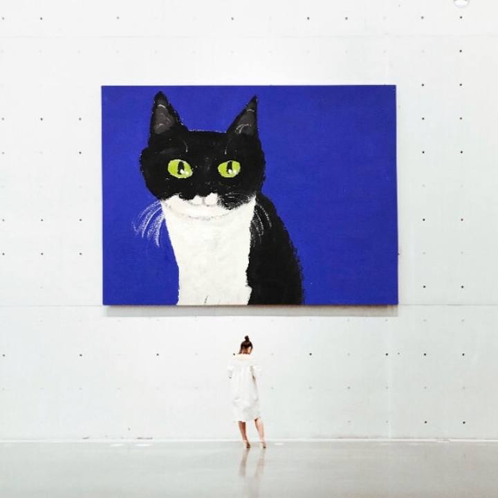 A9db8718 bc26 41da b028 38c50296283c 1547389059615