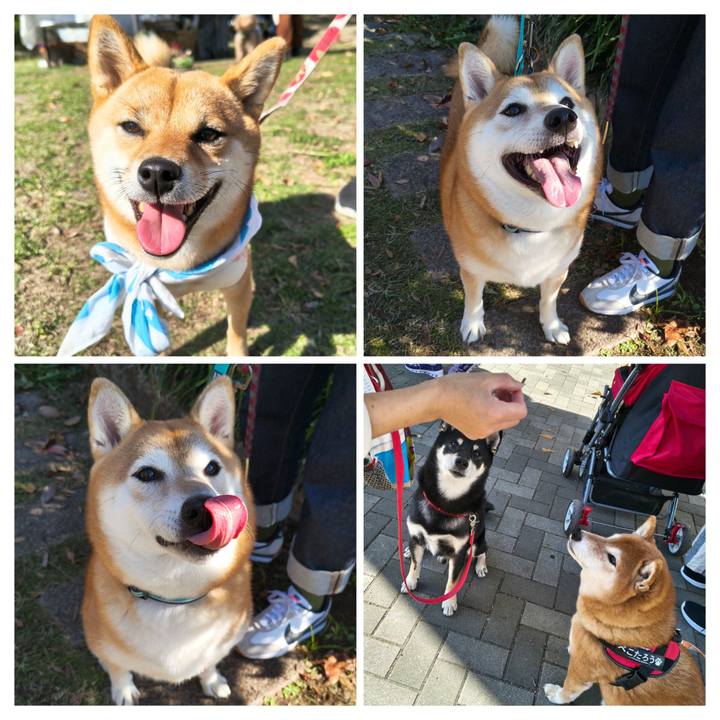 A9dbab9e 9890 4616 9fda acb458dcb028 1763436274414