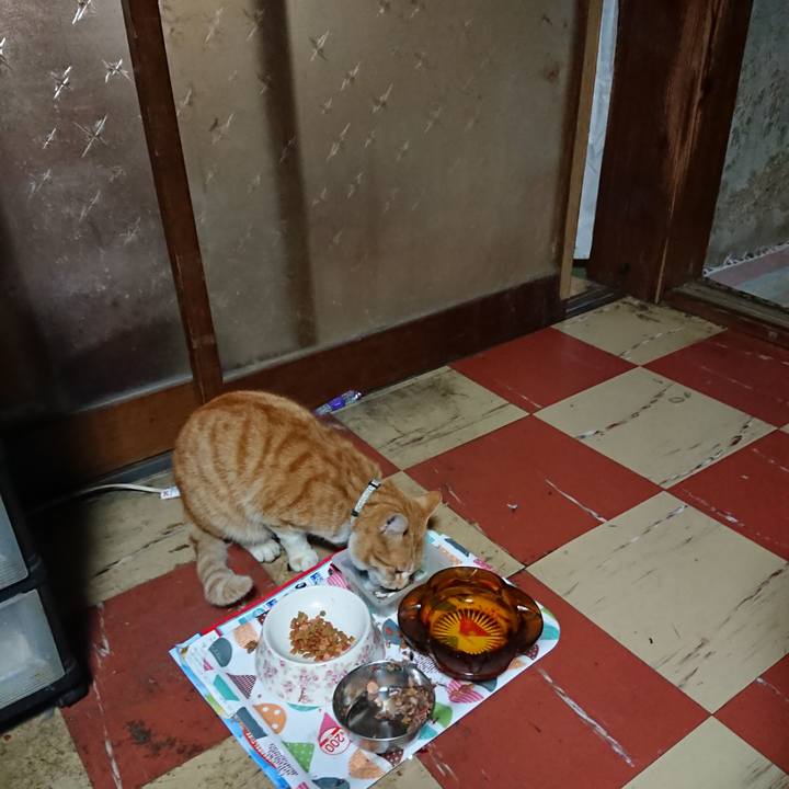 A9dbc4b2 52c5 4d2b a3ef 8ebf9d7152ce 1588453291150