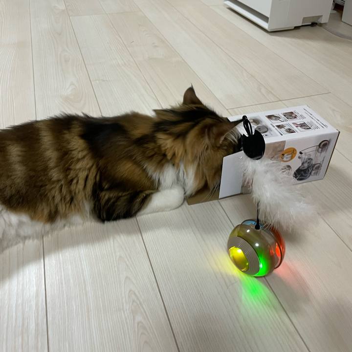 A9dbe01e 32e8 45b3 b553 0d497dc46c55 1664968420555