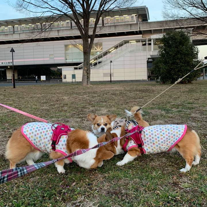 A9dbec19 b3d2 43aa 84d3 dd1e1a90fab2 1613297158115