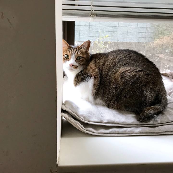 A9dbf138 2dbd 4c6f b75f 098c729f2c33 1517798166522