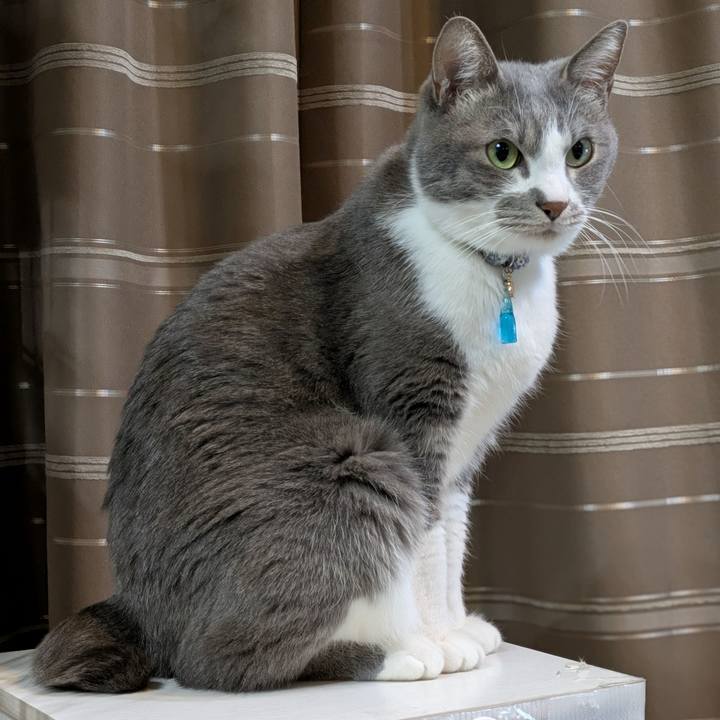 A9dc0adc 4976 42a5 a63f cd4fb20f8bc3 1739014967076