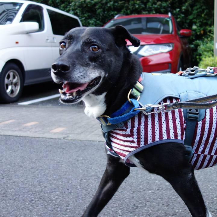 A9dc284f f244 4e28 93e6 d267a1ac453d 1718410096236