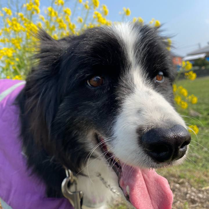 A9dc2e77 f8b4 4686 a332 6c77f9d121ed 1707619375969