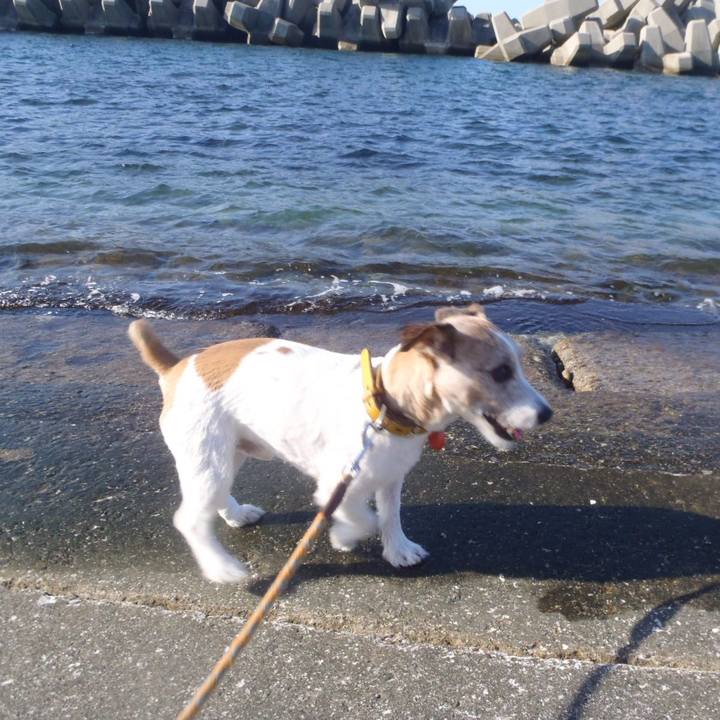 A9dc34b3 dc93 45a4 993e aebfac08e214 1510564125954