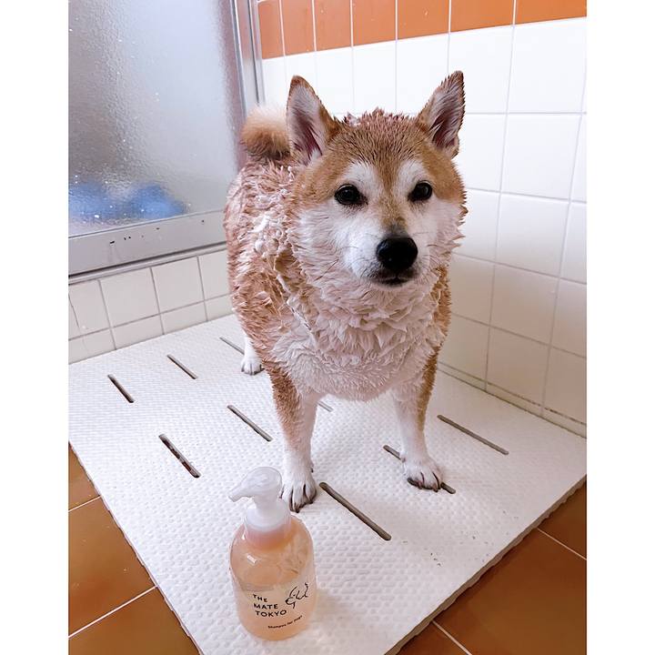 A9dc7377 2da0 46b7 8aba 527fe8aab594 1676491775769