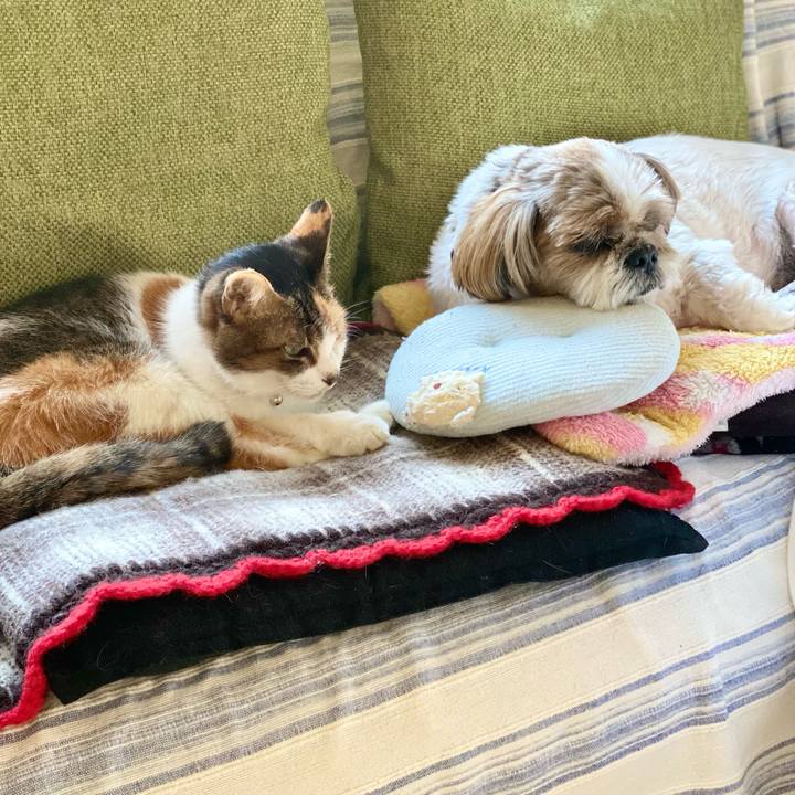 A9dcafe9 910e 4ca7 8e4c 1f080c248bf9 1665895157753