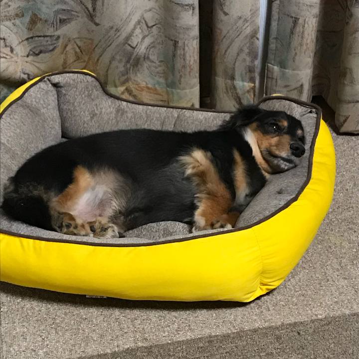 A9dcb03b e5c2 432e bdfa 4fafc6e1d2c2 1535926003615