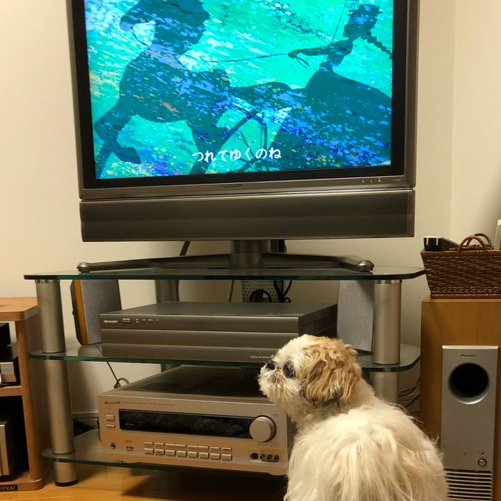 A9dcb1d6 e101 45e9 b96c c1aa4e07b930 1588887725073