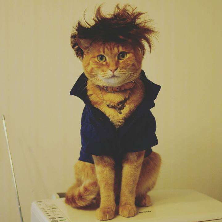 A9dcd1e7 e20d 447d ac4b 308442a3d641 1515849663237