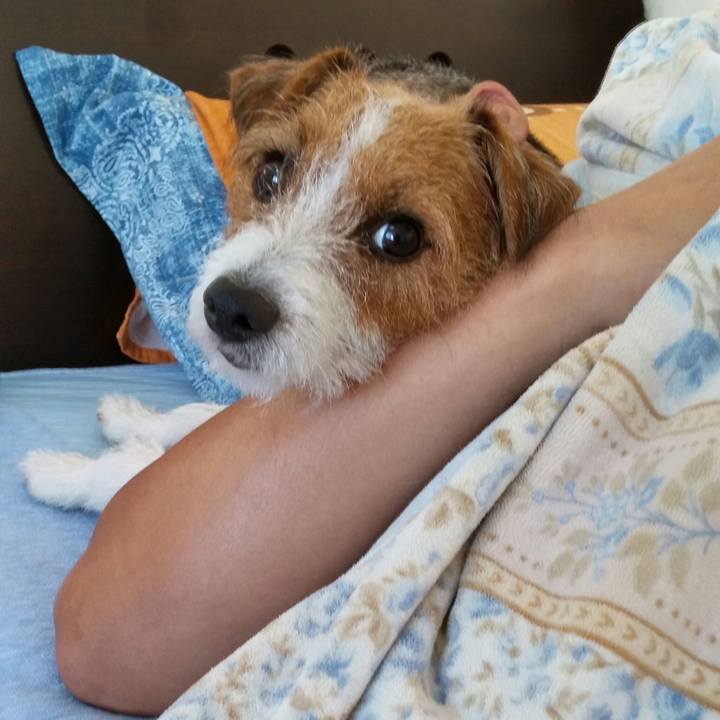 A9dcf94d 7ac0 41b2 8752 00e42e333ea9 1540080071970