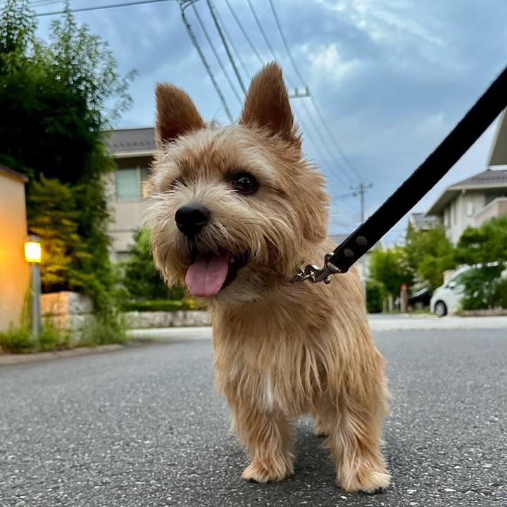 A9dd16d5 f143 448d b14f 73235e986630 1754658166574