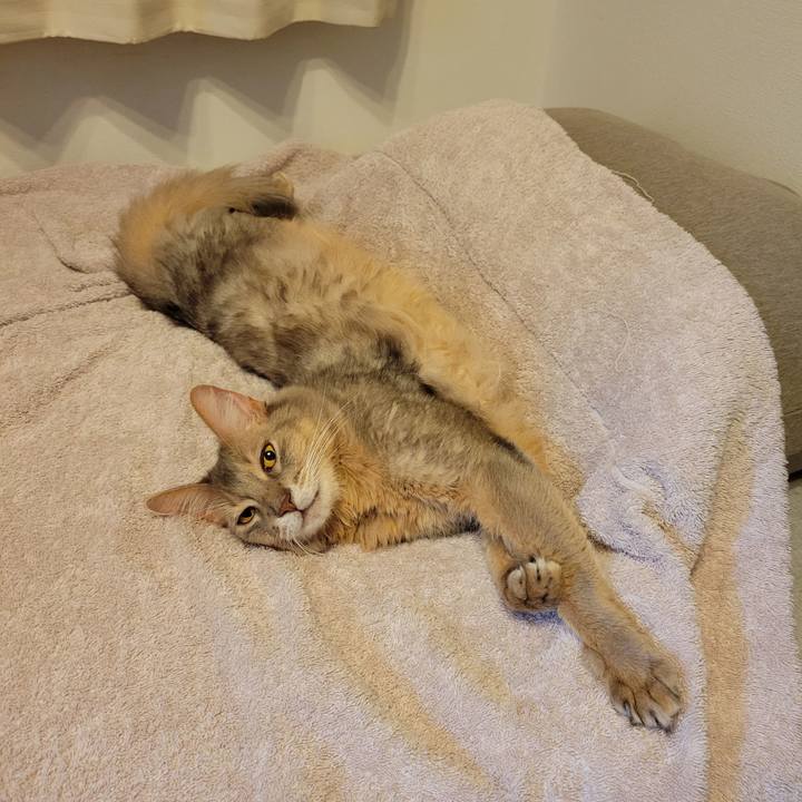 A9dd3023 0c7f 444c a9ec 6be00cdf9999 1633268273012