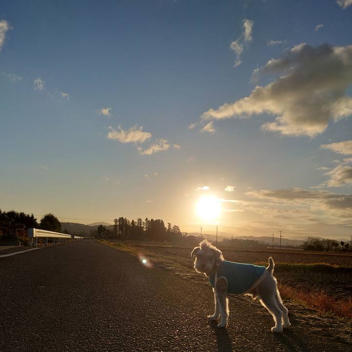 A9dd5fbd be35 458c 9d30 1d061cbd5bd0 1764975901343