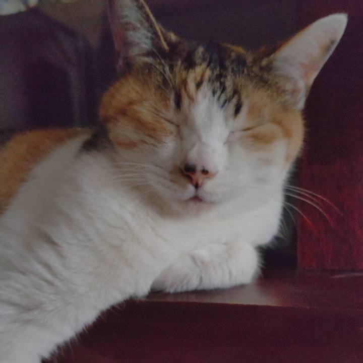 A9dd6237 c677 4d1e a538 f7927a9eef26 1651480659996