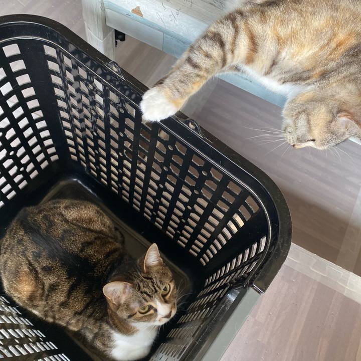 A9ddd4ec 94b6 493c 864f 2586012b90a6 1620003675414