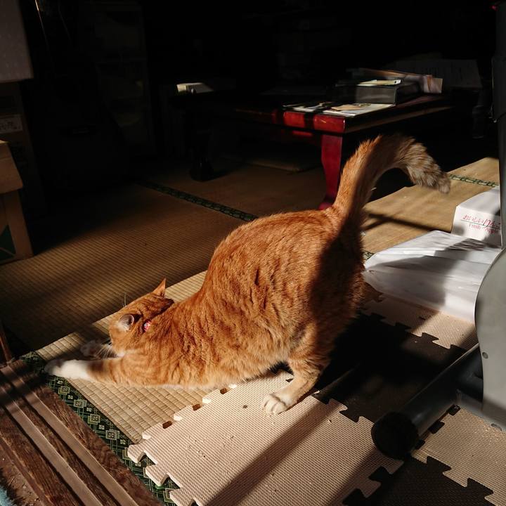 A9dde0e4 7754 473d b4f5 f2955dbd9294 1577845102772