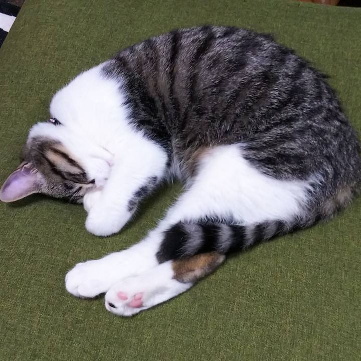 A9de37ef 9003 4d6b 8d75 3891854d6117 1616247140342