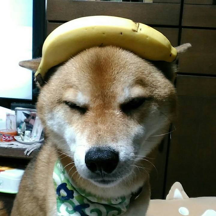 A9de4aa9 4b1c 4362 9563 50ed8e405143 1562157926950