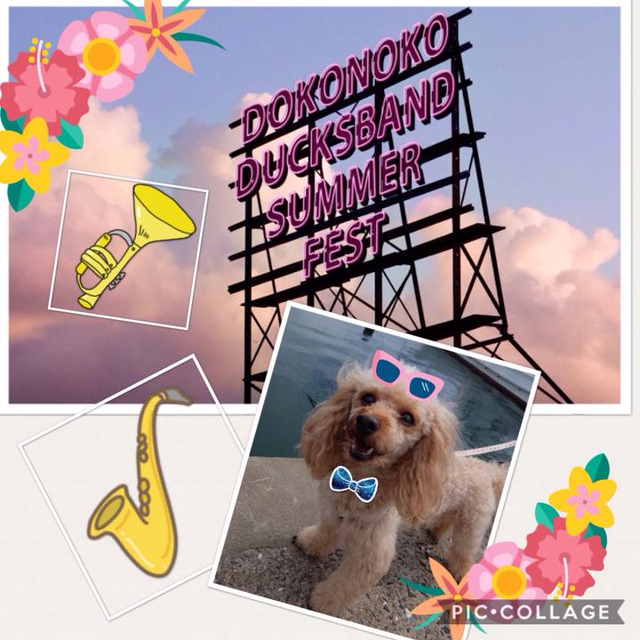 A9de5591 2642 4555 82b0 542986bb9b79 1534053584181