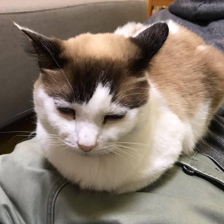 A9de8667 237f 41ff b8cb c8fdb9f0ed97 1542026007586