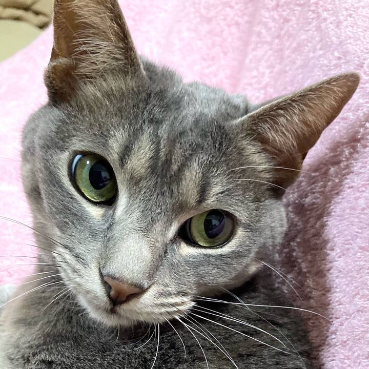 A9ded041 07ab 424f 85a1 d26802533d34 1612539605153