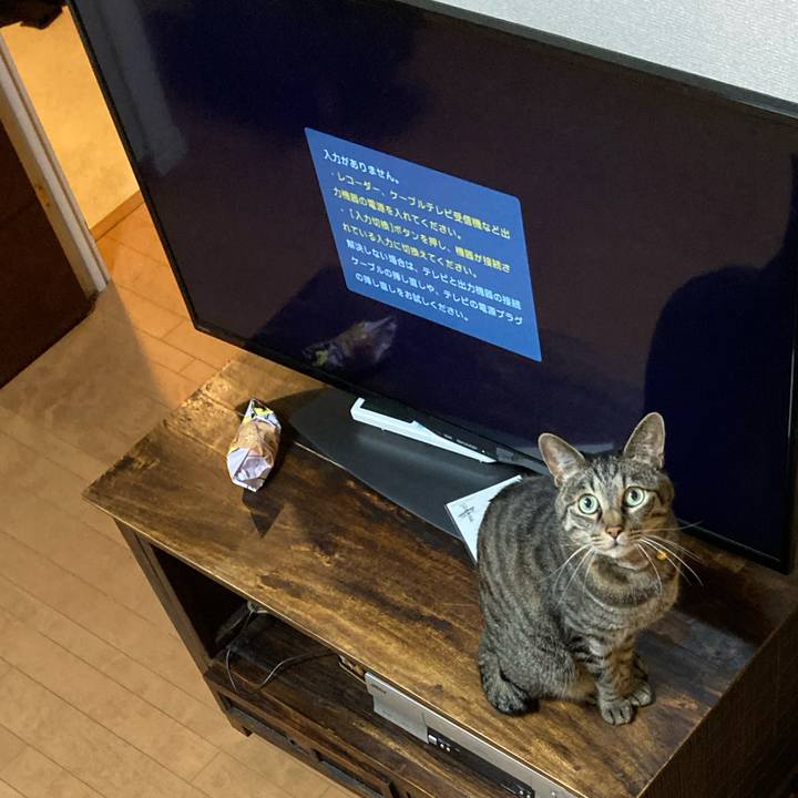 A9ded74a af77 4efe 8057 505a471d864c 1620563921694