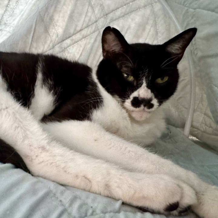 A9deef4c 416d 4334 be22 b70b55671f83 1752537861831