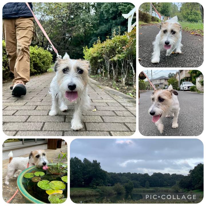 A9def93d 18e7 4b0b 8da7 b26b461907c4 1665390771830