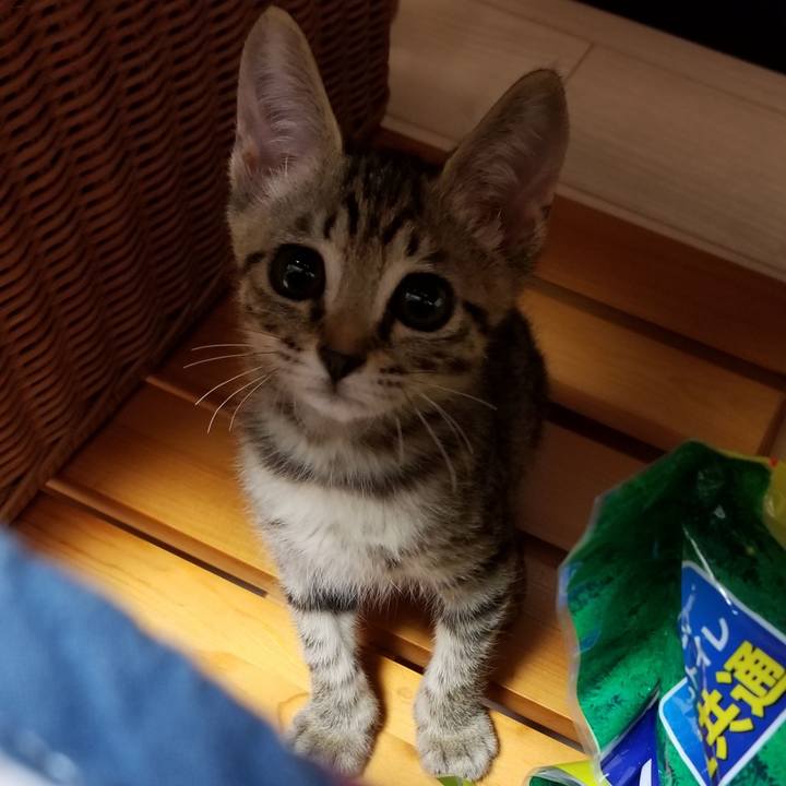 A9df1ab6 df0e 442e 9d2f 703f80d8c2df 1537626287486