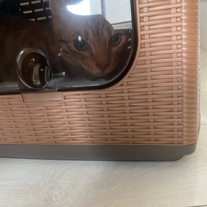 A9df35a9 f3aa 47aa bb6b 7fa0bdacc182 1604705643508