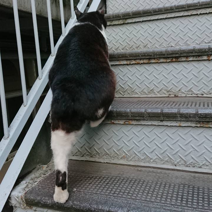 A9dfb567 6329 4e2a be51 40da58cd050b 1541230364783