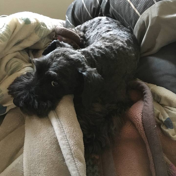 A9dfc2d3 5177 4dea bb59 0e6b45ec8798 1584846343219