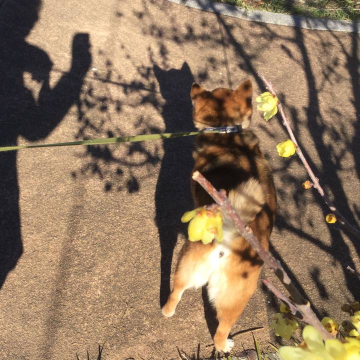 A9e004c7 4d4f 4420 9675 05da3d63a995 1580519372068