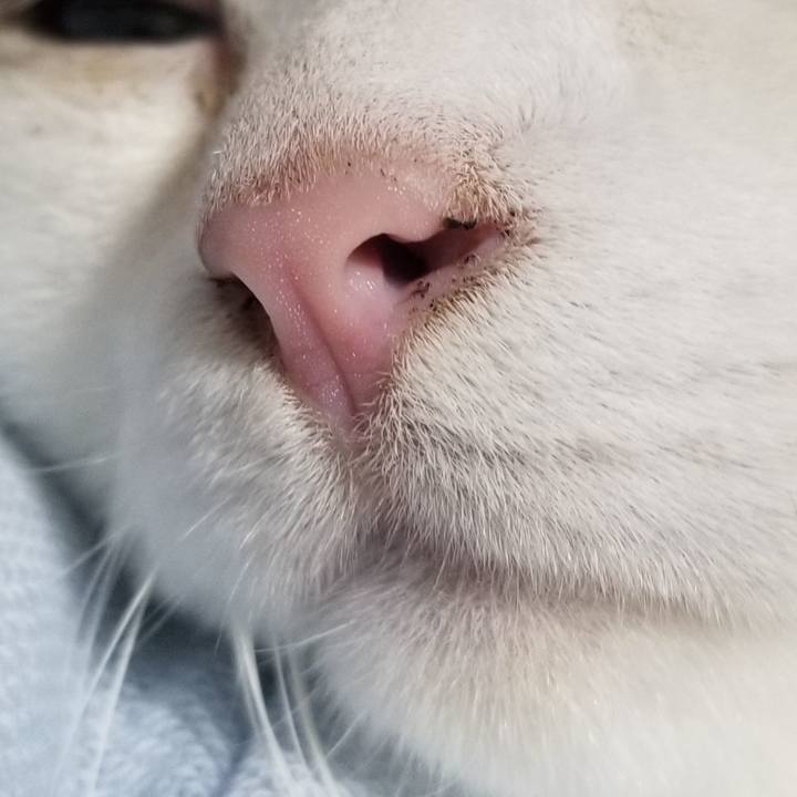 A9e02ac7 dcbf 421a a152 85cbe079bc07 1594467568515