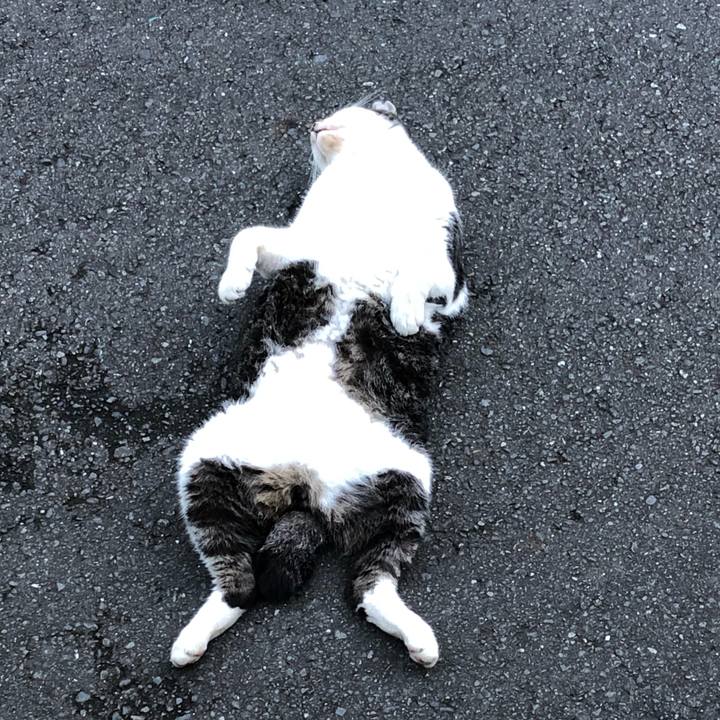 A9e02c27 f930 4aa1 b25c 6fed775dc269 1564923339766