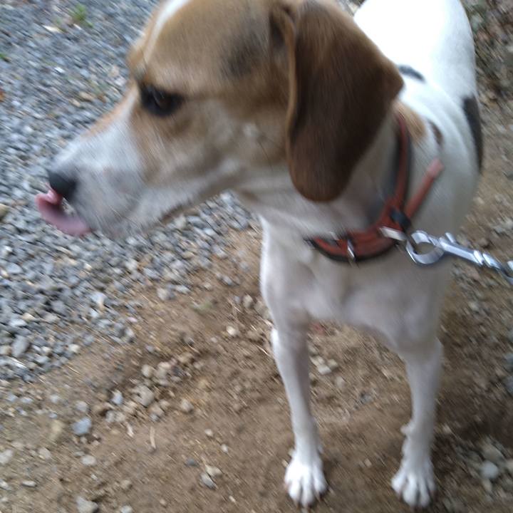 A9e02cfe cd8d 4d40 a048 3d2e7998148a 1632468621559