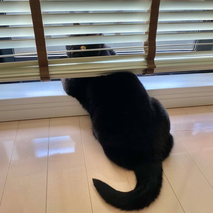 A9e067c3 6955 4f8a 9a77 28851a44920b 1620522536213