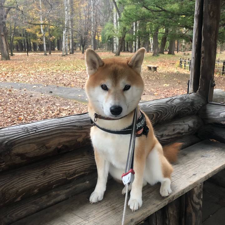 A9e075cf 2279 4652 8e60 e98883d5eeb7 1541753675241