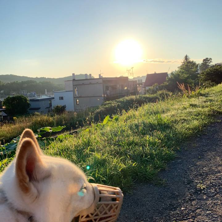 A9e07cab f38f 47a5 a427 9fc0d9a8dcc0 1598217434397