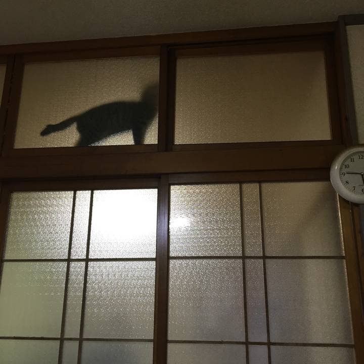 A9e0b0f8 874d 445f ab18 e699afaf6a25 1539786601255