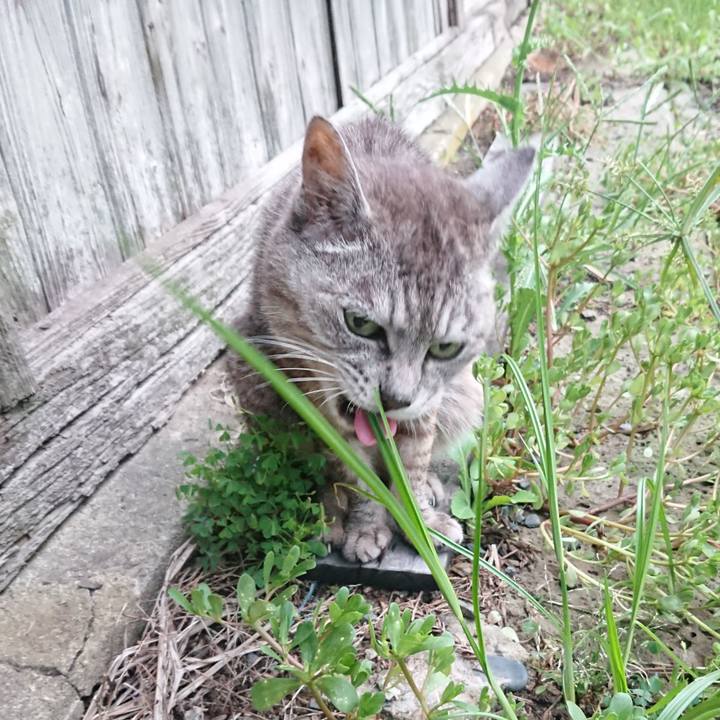 A9e0c3f1 6cac 4d1f bb63 840ed5f654f7 1566551696143