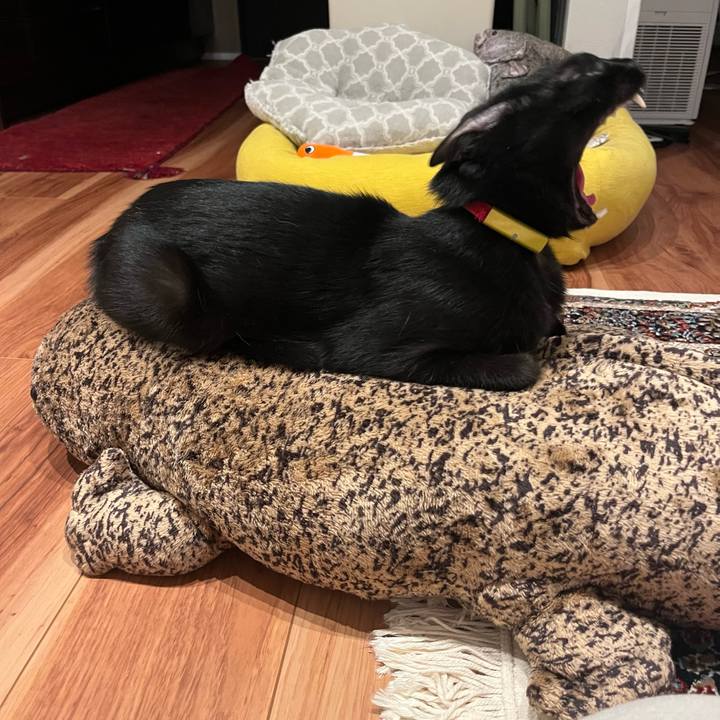 A9e0c526 0aca 46ea ab85 ae43a591c043 1762355453899