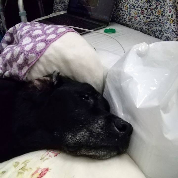 A9e0c702 b7e1 4104 a8fb c699ae85a95b 1713498024230