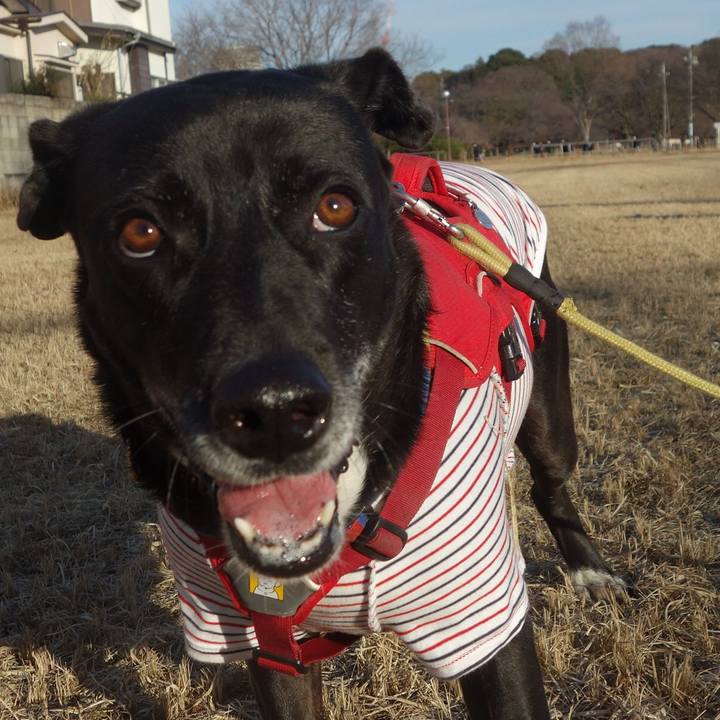 A9e0ca14 bb46 49ed bd3a c48cb608c8ee 1673490306607